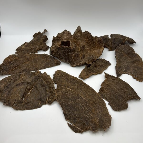 Chinese “Jar” 🇨🇳